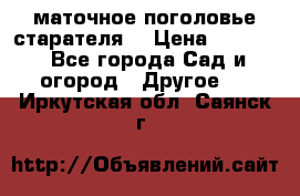 маточное поголовье старателя  › Цена ­ 3 700 - Все города Сад и огород » Другое   . Иркутская обл.,Саянск г.